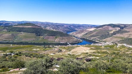 Visite d’une journée complète de la vallée du Douro et des vignobles